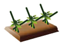 着果時に使用する支柱