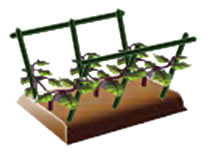 着果時に使用する支柱