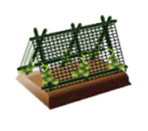 定植時に使用する支柱