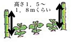 土を被せる（覆土）