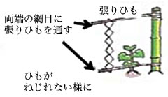 土を被せる（覆土）