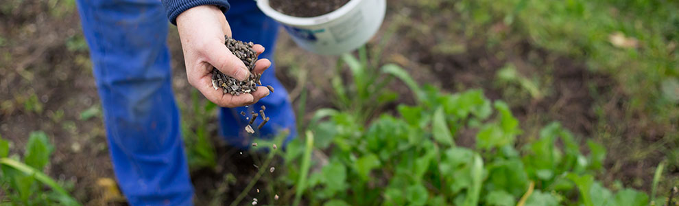 肥料の基礎知識