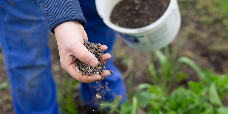 肥料の基礎知識