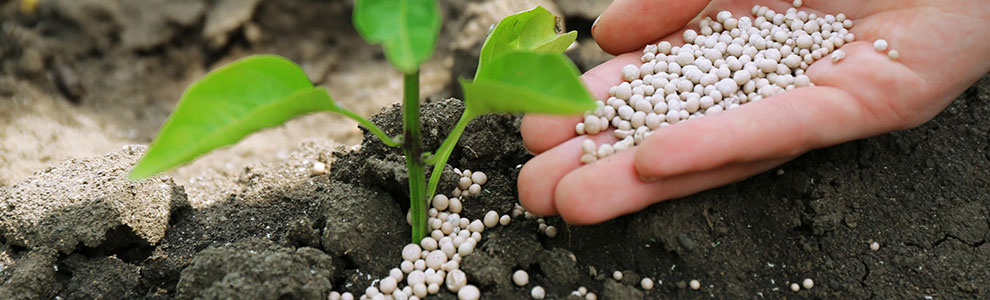 肥料を使い分ける