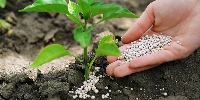 肥料を使い分ける