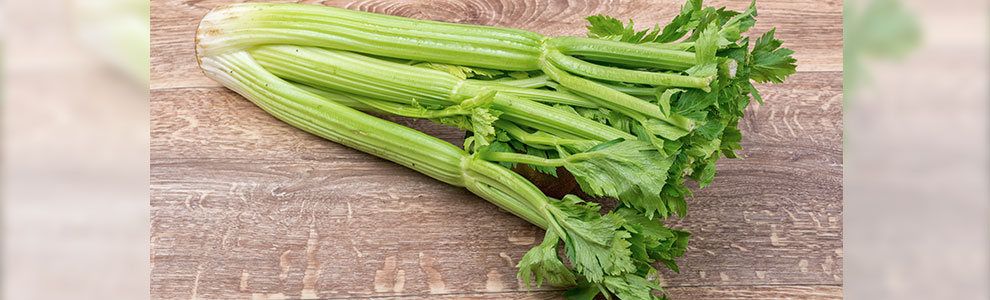 セロリの育て方
