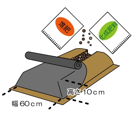 畝を黒色ポリフィルムでマルチング