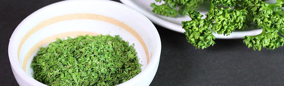 パセリの育て方