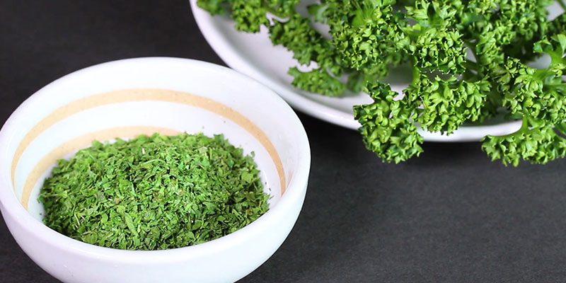 パセリの育て方