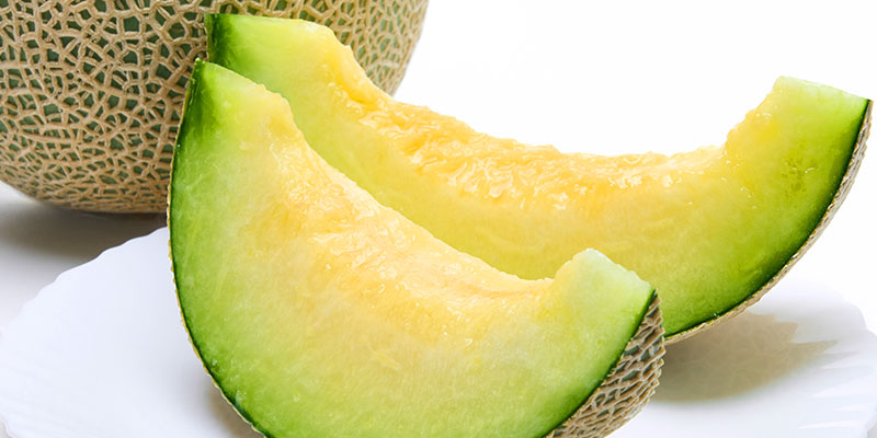 メロンの育て方