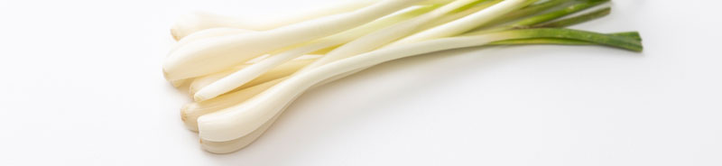 エシャレット（生食用）の育て方