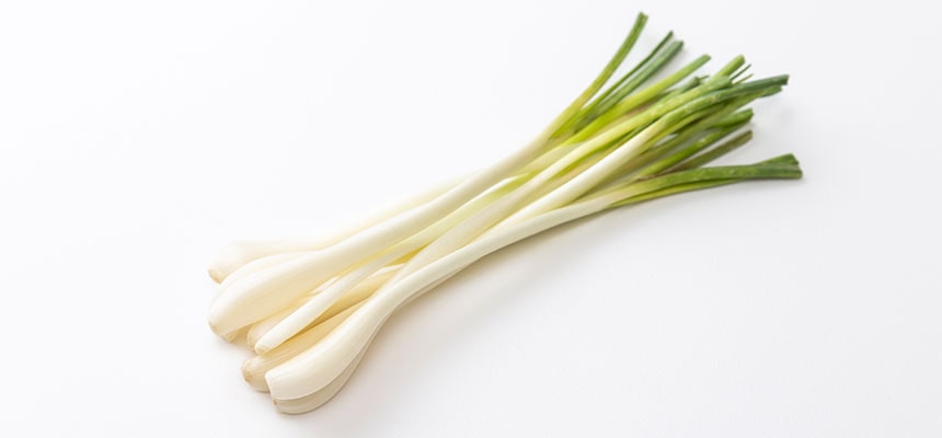 エシャレット（生食用）の育て方