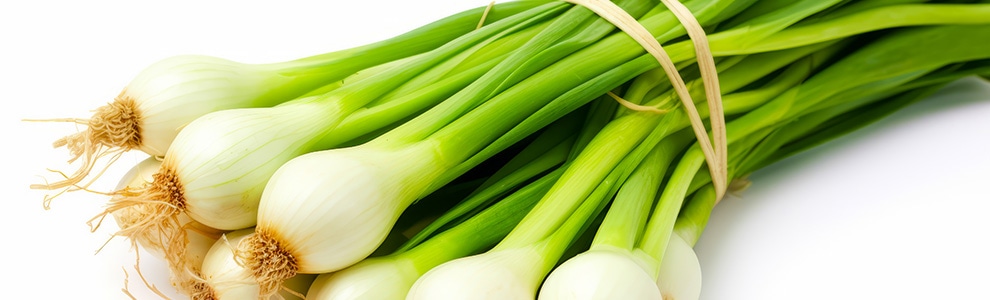 ワケギ・二十日ワケギ・アサツキの育て方