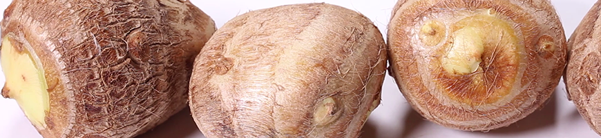 里イモの育て方