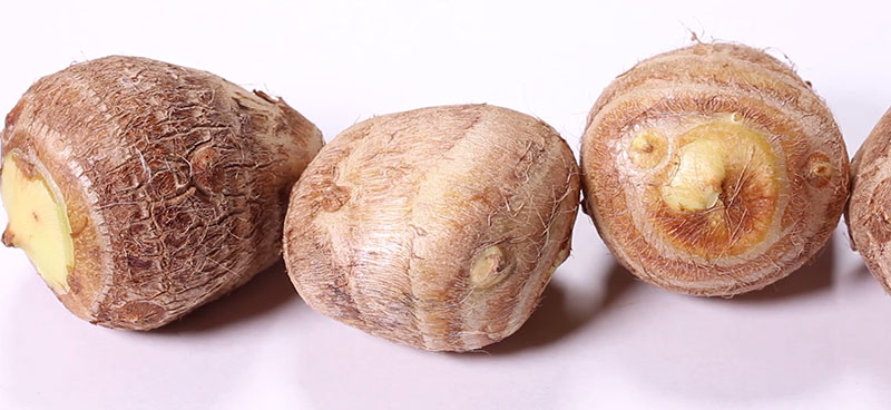 里イモの育て方