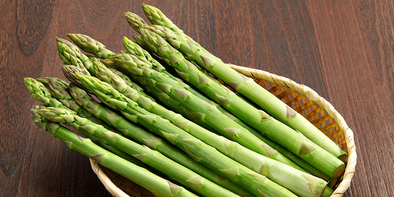 アスパラガスの育て方