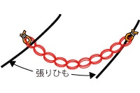 ３．ネットの両端に張りひもを通す