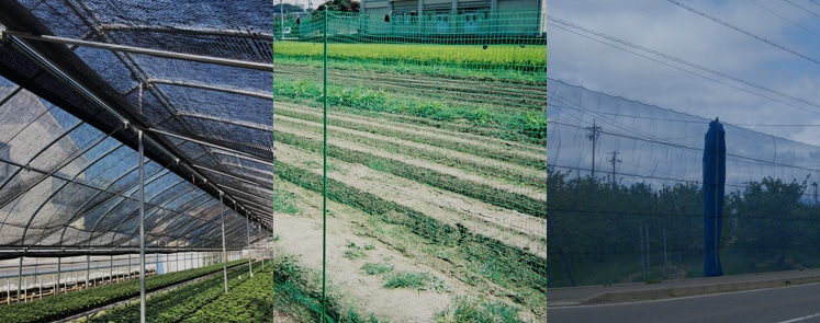 防鳥網の上手な張り方