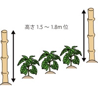 １．用意するもの