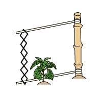 2．杭の設置方法(埋める深さ)