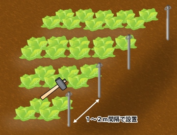 ２．菜園やお家廻りに杭を設置の
