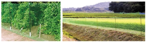 ５．防獣ネットの完成図