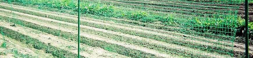 防獣ネットの張り方