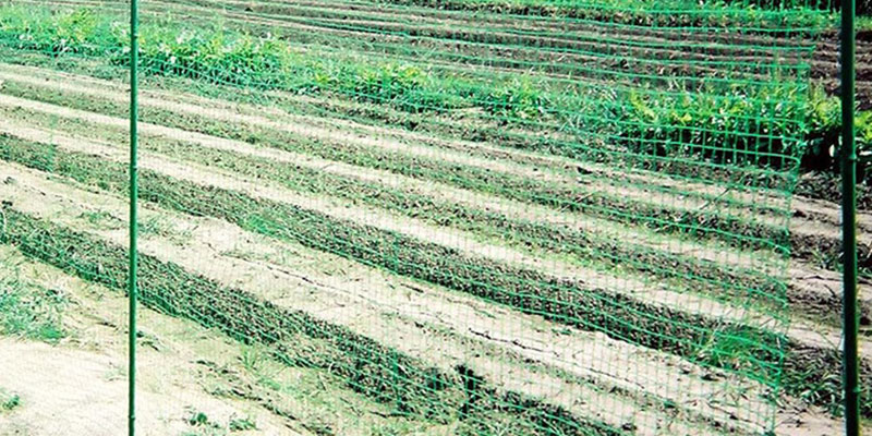 防獣ネットの張り方