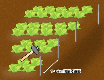 2．杭の設置方法(埋める深さ)