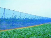 ４．防風ネットの完成図