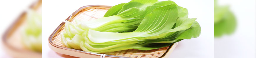 チンゲン菜の作り方