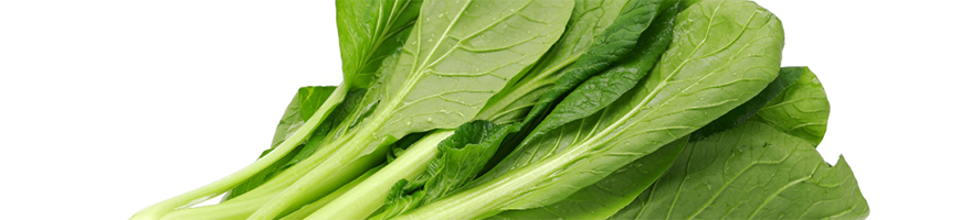 コマツナの作り方