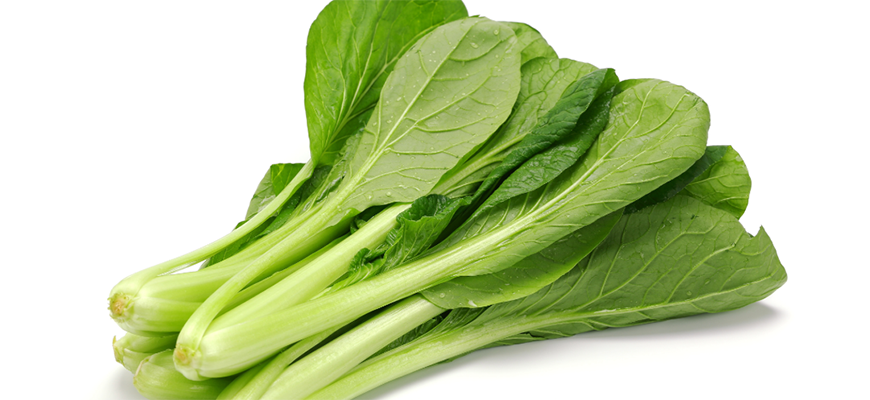 コマツナの作り方