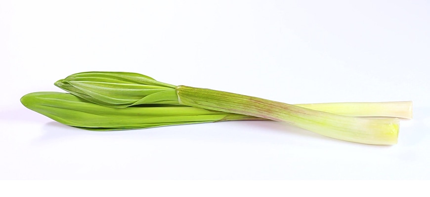 行者ニンニクのつくり方