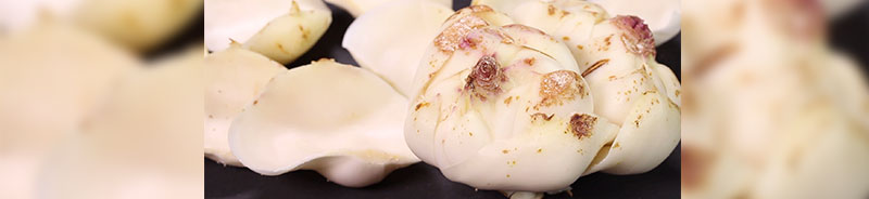 食用ユリのつくり方