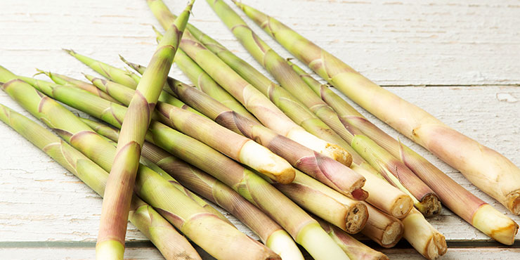 ネマガリダケのつくり方