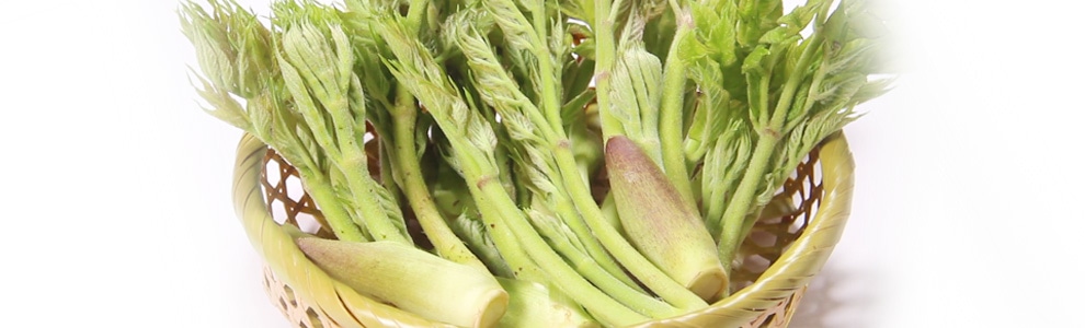 タラノメのつくり方