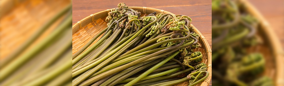 ワラビのつくり方