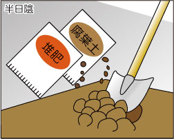 培土に水をなじませる