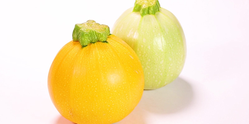 ウリの育て方 -マクワ瓜-