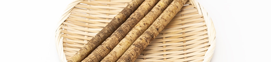 ごぼうの育て方