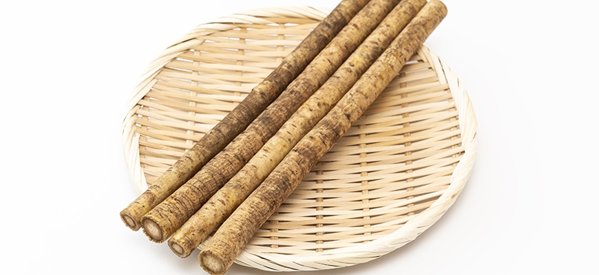 ごぼうの育て方