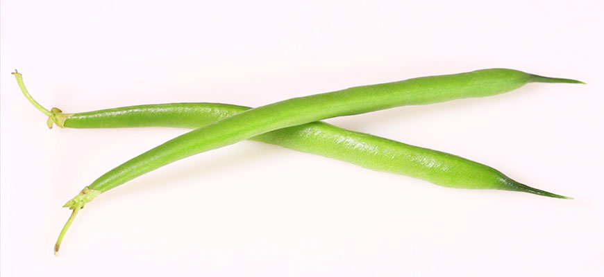 インゲンの育て方