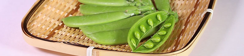 えんどうの育て方