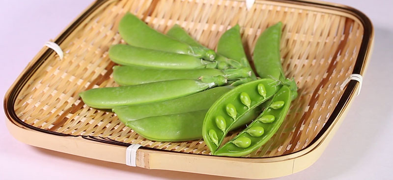 えんどうの育て方