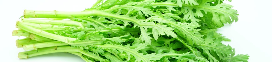 しゅんぎくの育て方