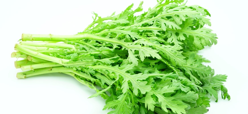 しゅんぎくの育て方