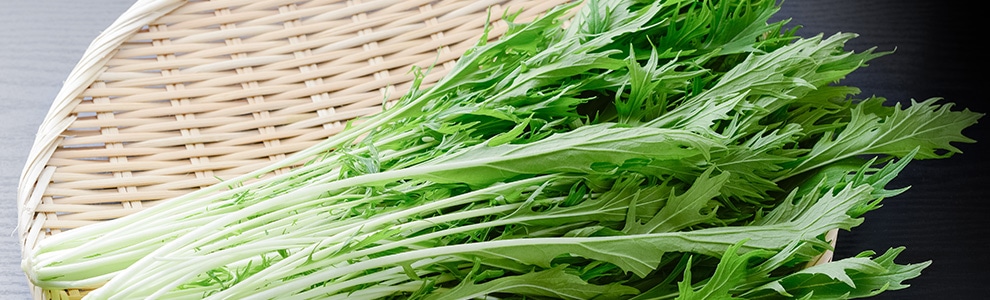 みず菜の育て方