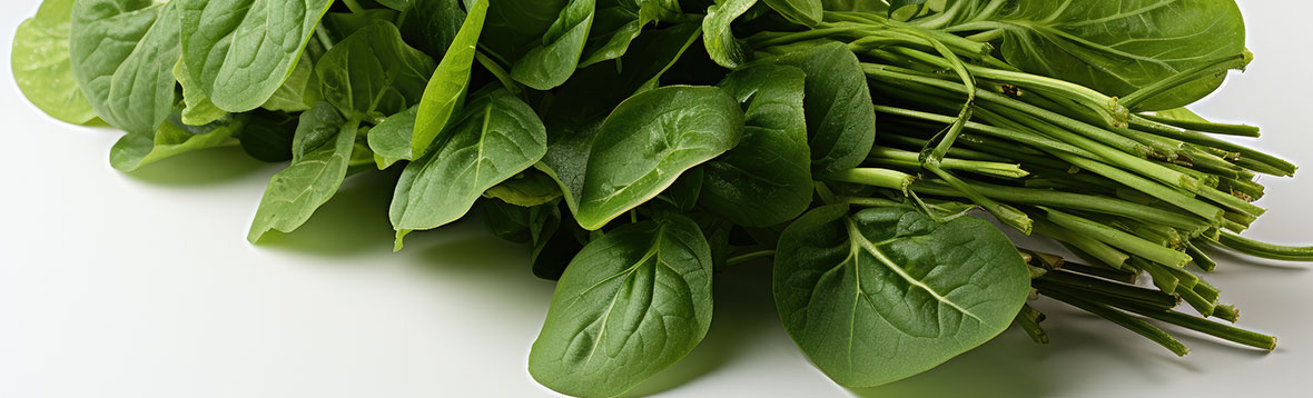 つるむらさきの育て方