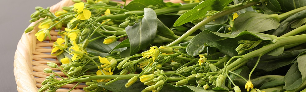 アスパラ菜の育て方